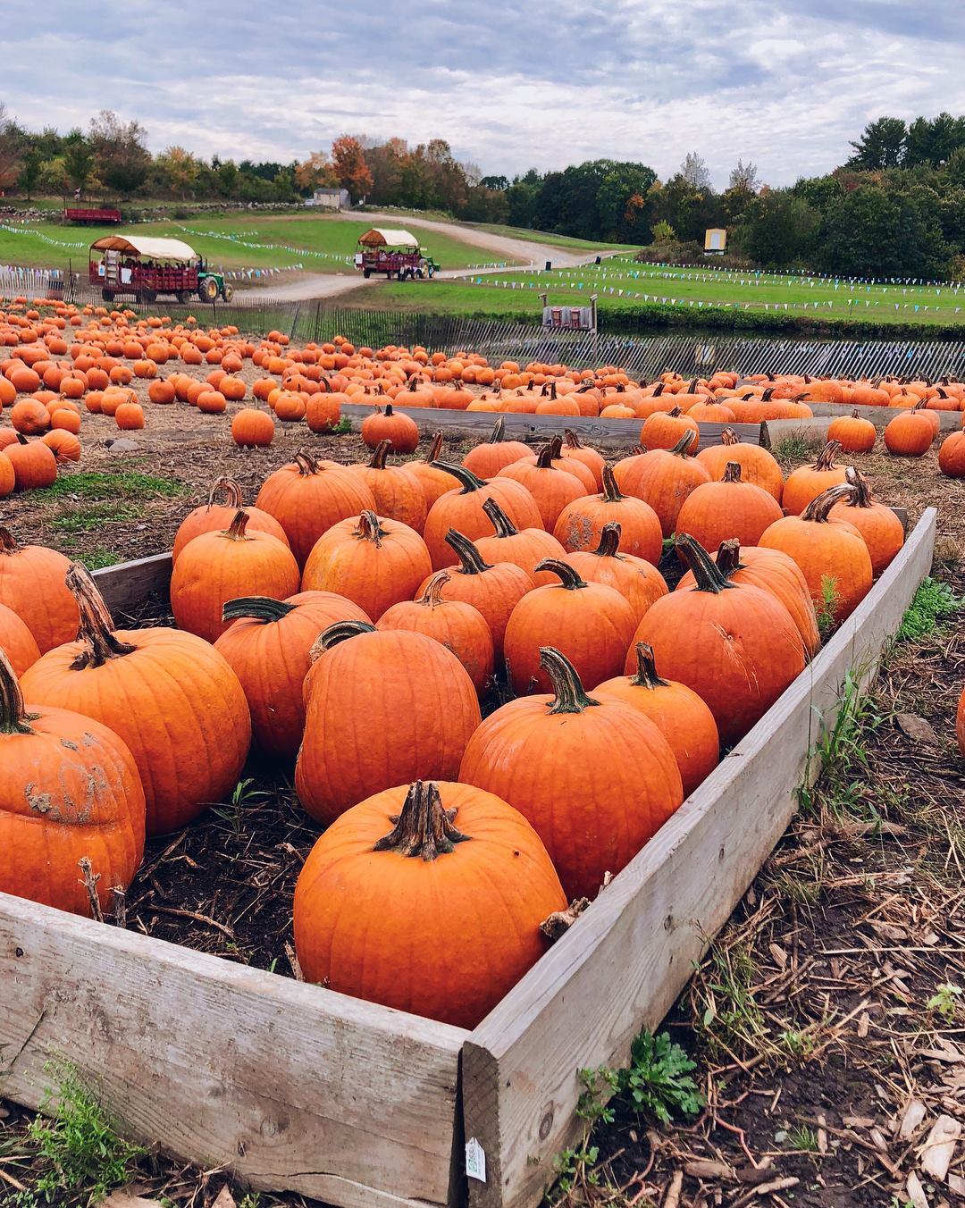 Smolak Farms | North Andover MA