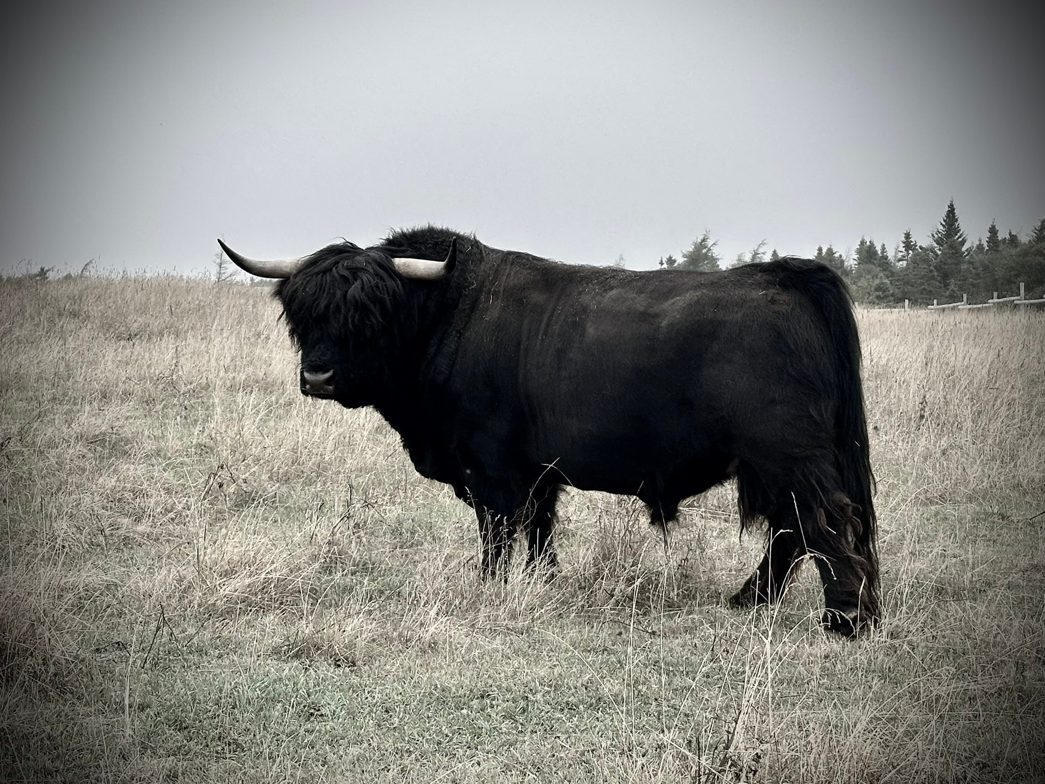 Four Crows Ranch