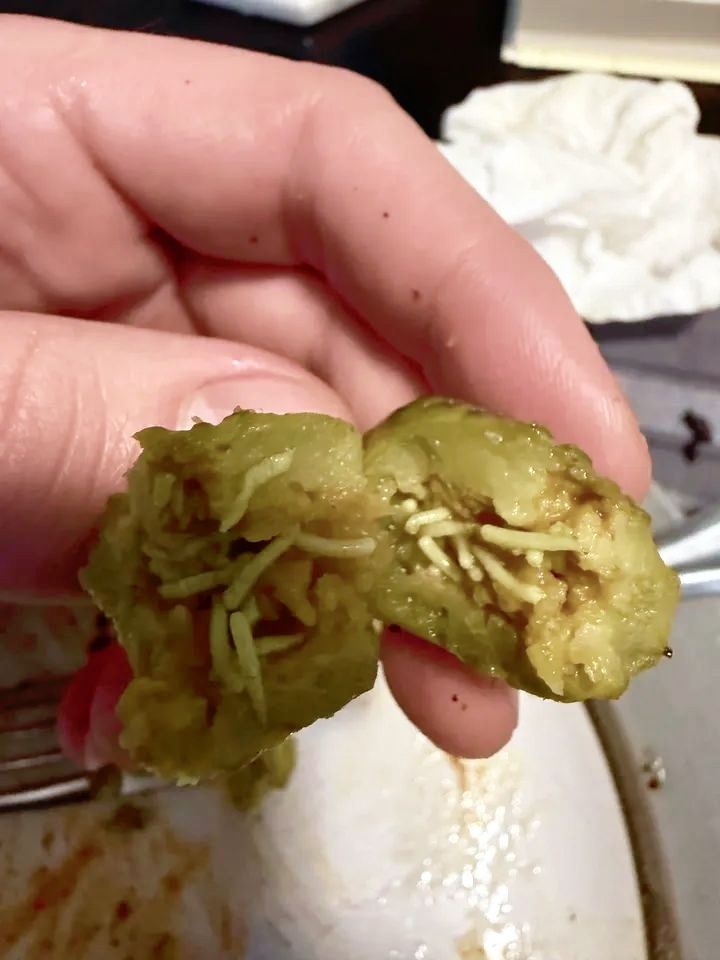 Facts and Knowledge | Found inside a pickle | Facebook
