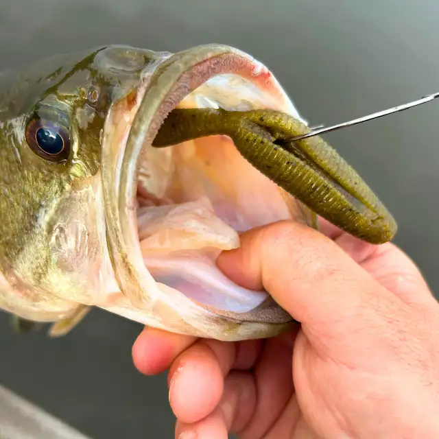 abu garcia ambassadeur 7001i left hand wind reel Baitcast Abu Garcia Black Max Seaborg As big on performance Lb. Test:20#