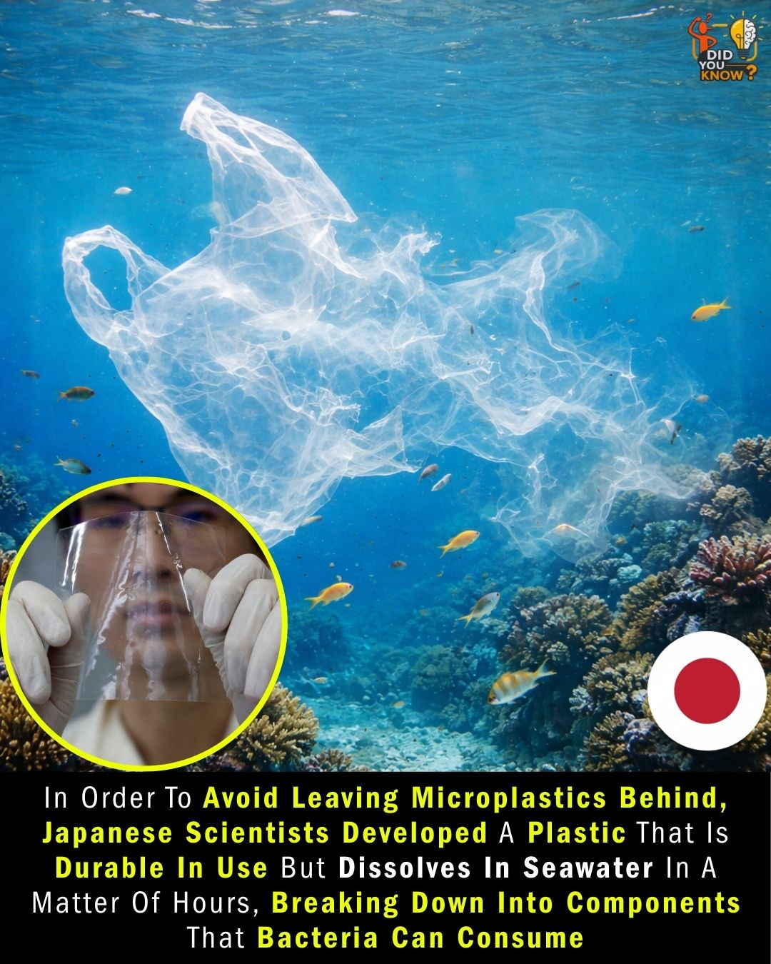 Did - Researchers in Japan have created a promising new kind of plastic ...