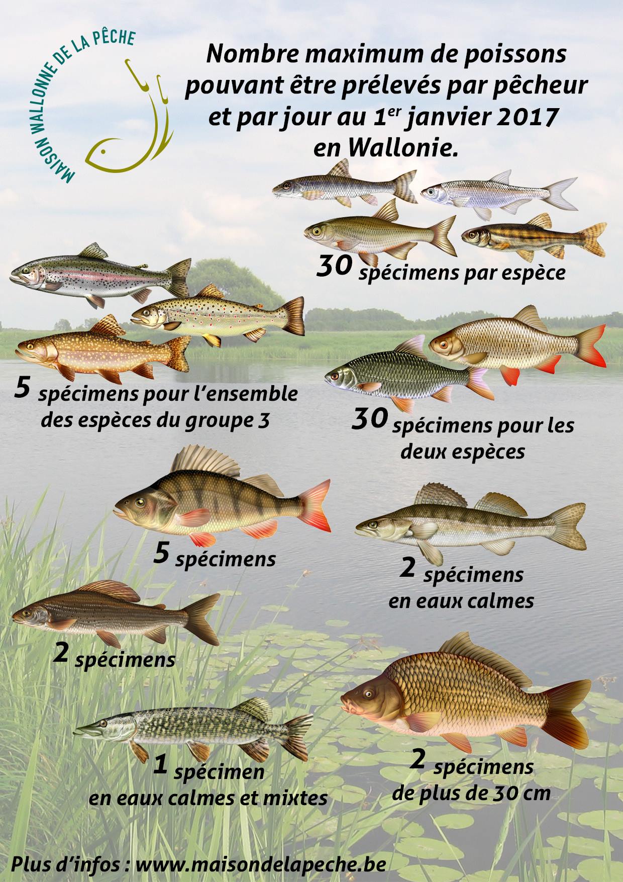 Comment On Dit Poisson En Anglais