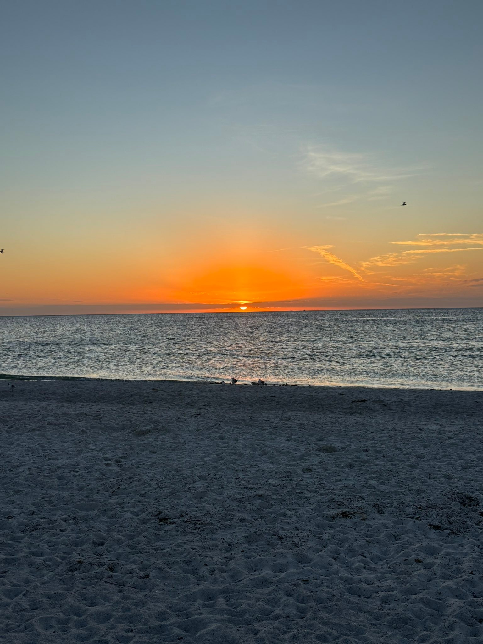 Saint Andrew's Youth | Sanford FL