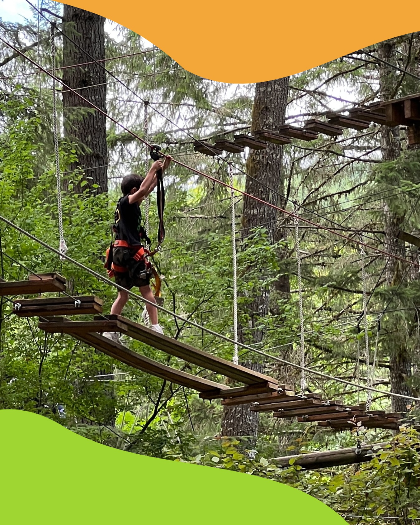 Tree to Tree Adventure Park - Go where you feel most alive. . # ...