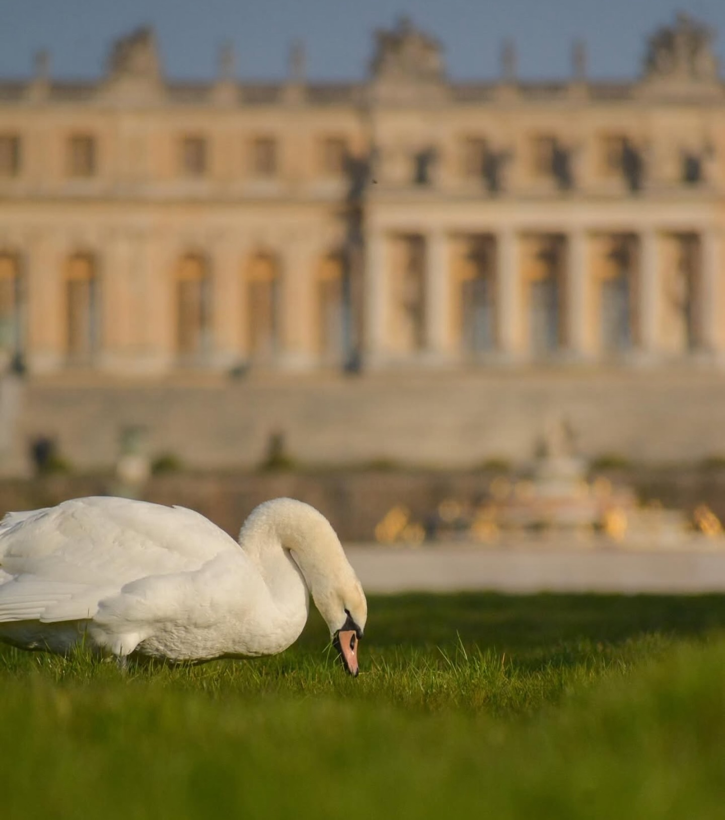 ch-teau-de-versailles-jeanne-antoinette-poisson-marquise-de