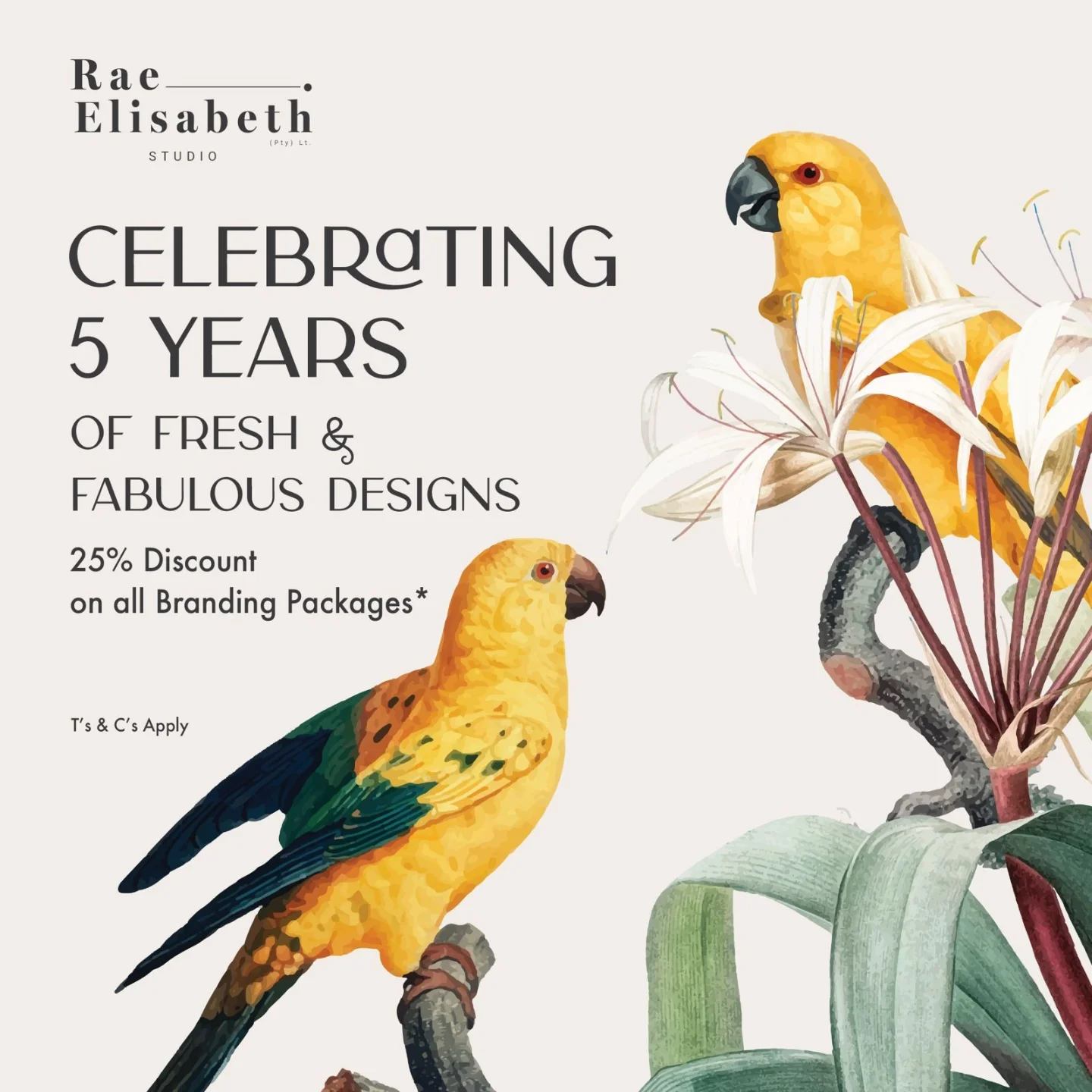 Rae-Elisabeth Design Studio