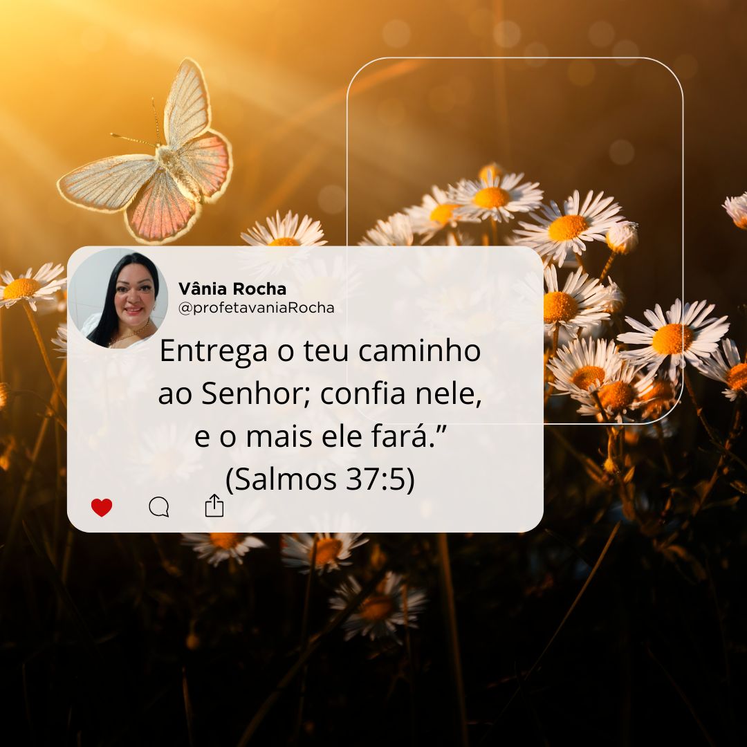 Amigas que Curam Devocional