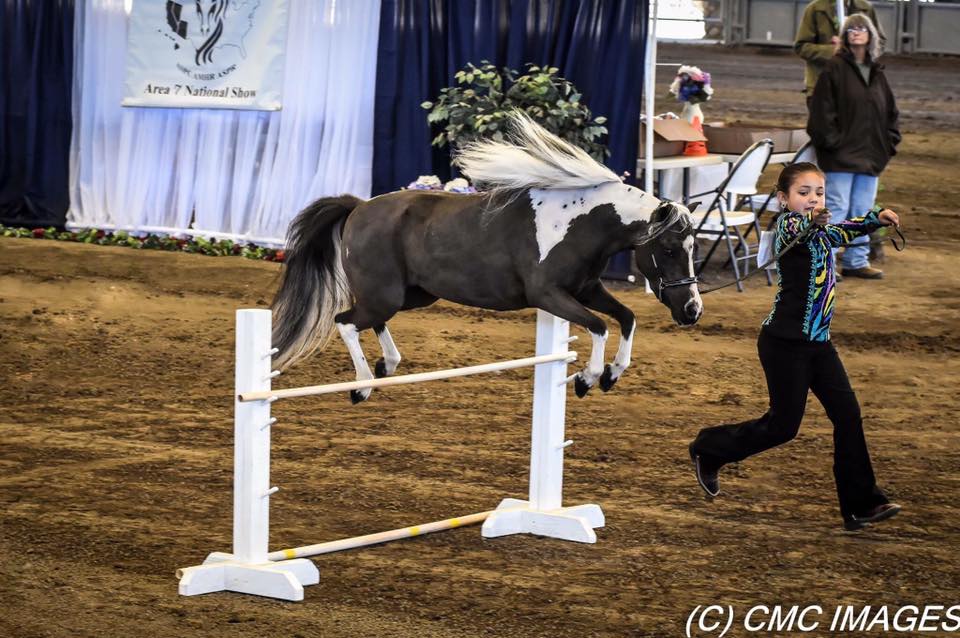 Our Tiny Miss Queen... - Norco Horseweek Rodeo Queen Pageant | Facebook