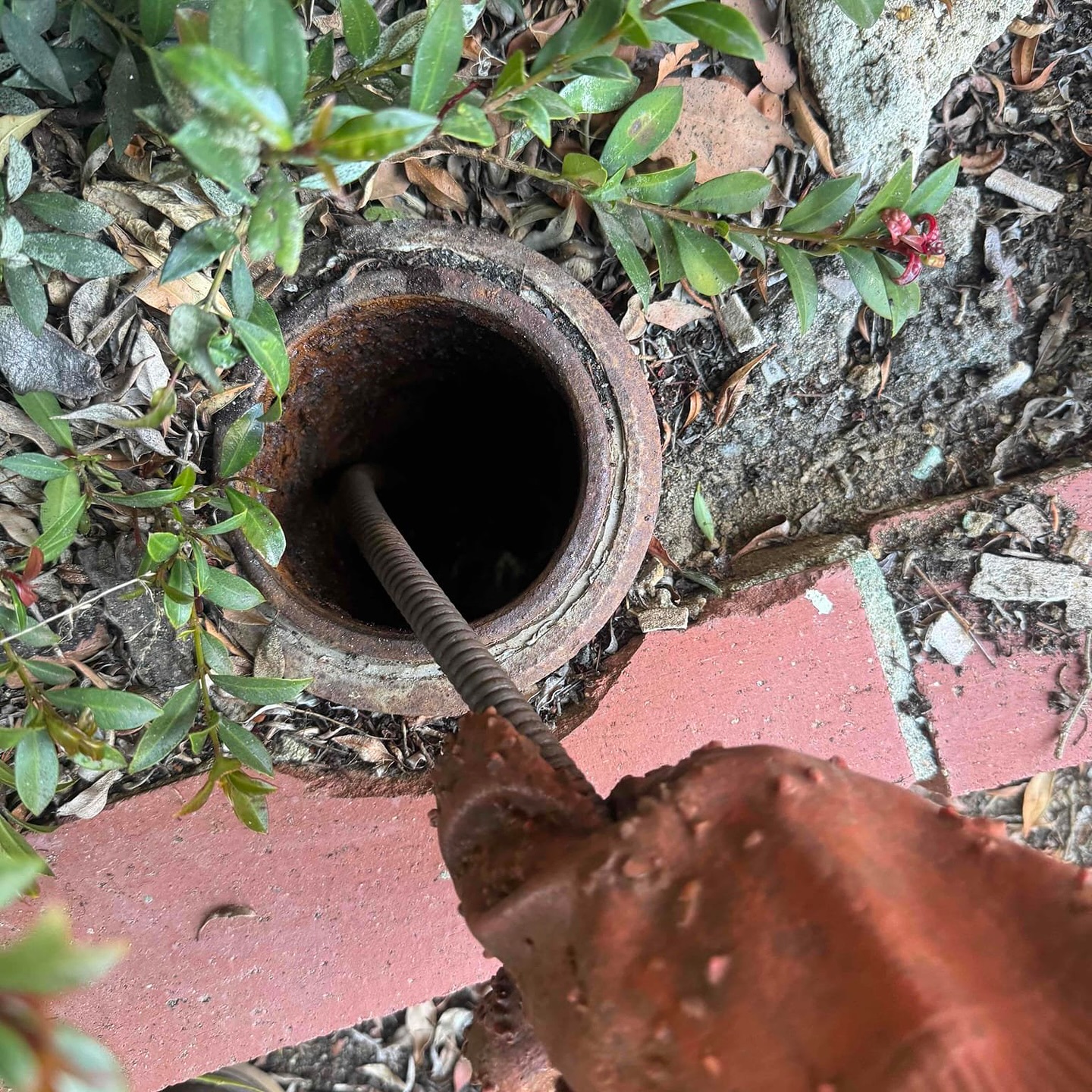 Team Rooter Plumbing added a new... - Team Rooter Plumbing