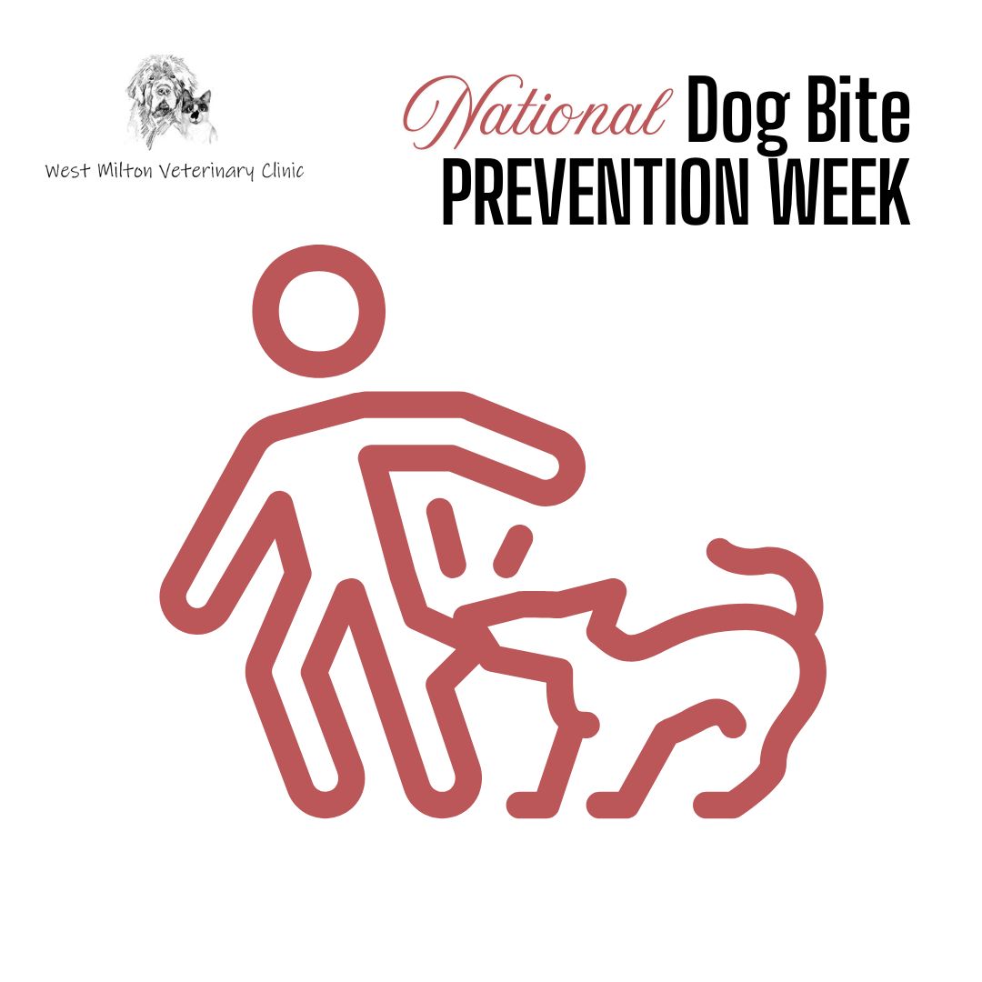 West - Nobody wants to be on the receiving end of a dog bite—but did ...
