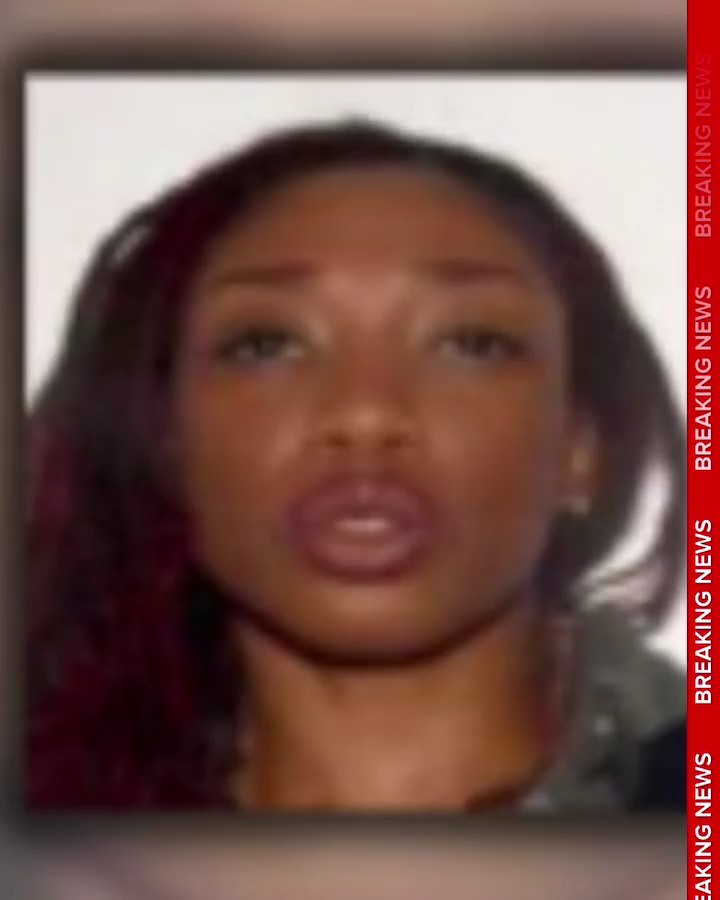 CBS 12 News | West Palm Beach FL