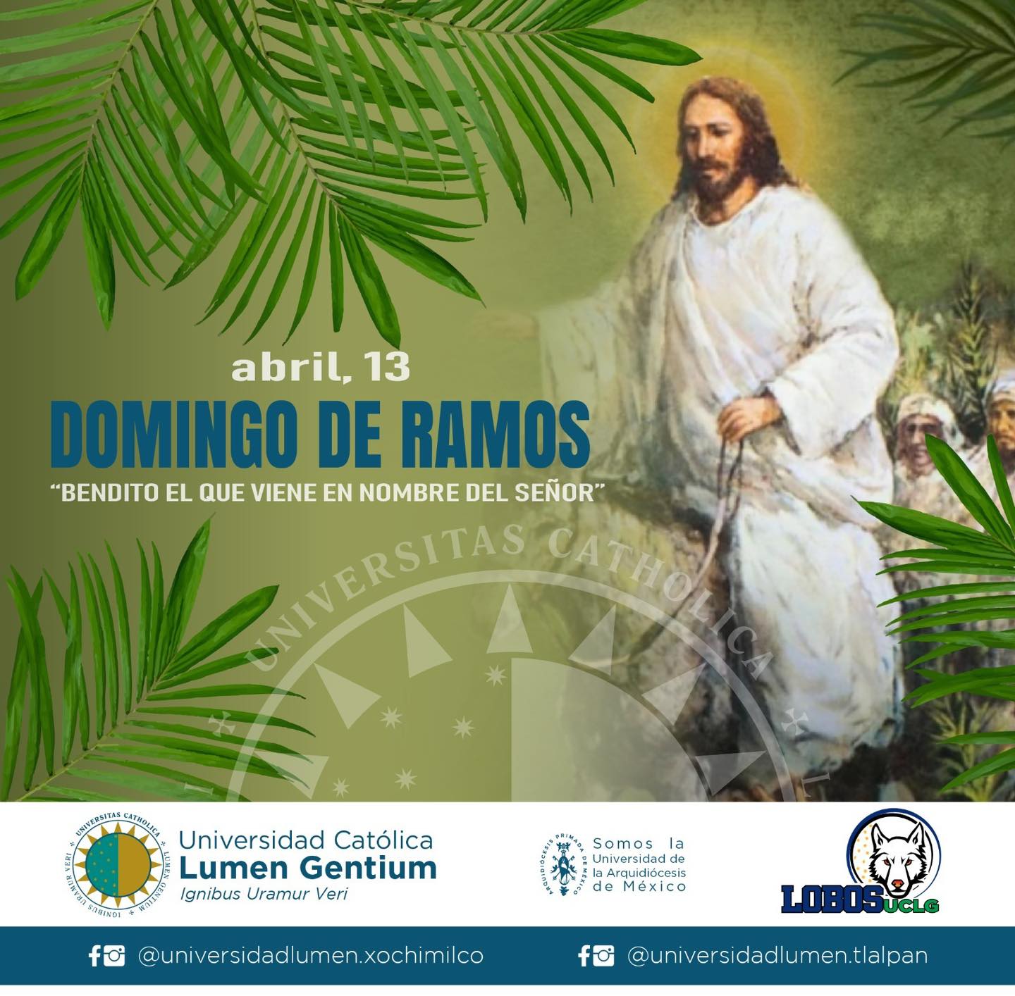 Universidad - “El Domingo de Ramos es una oportunidad para renovar ...