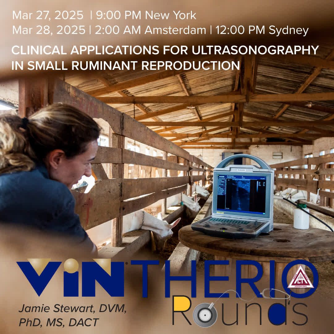 Veterinary - The use of ultrasonography can be expanded well beyond ...