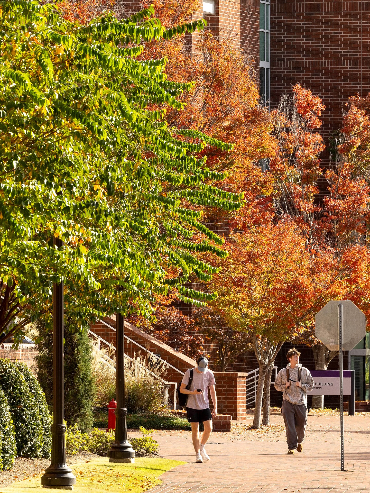 Joyner Library | Greenville NC