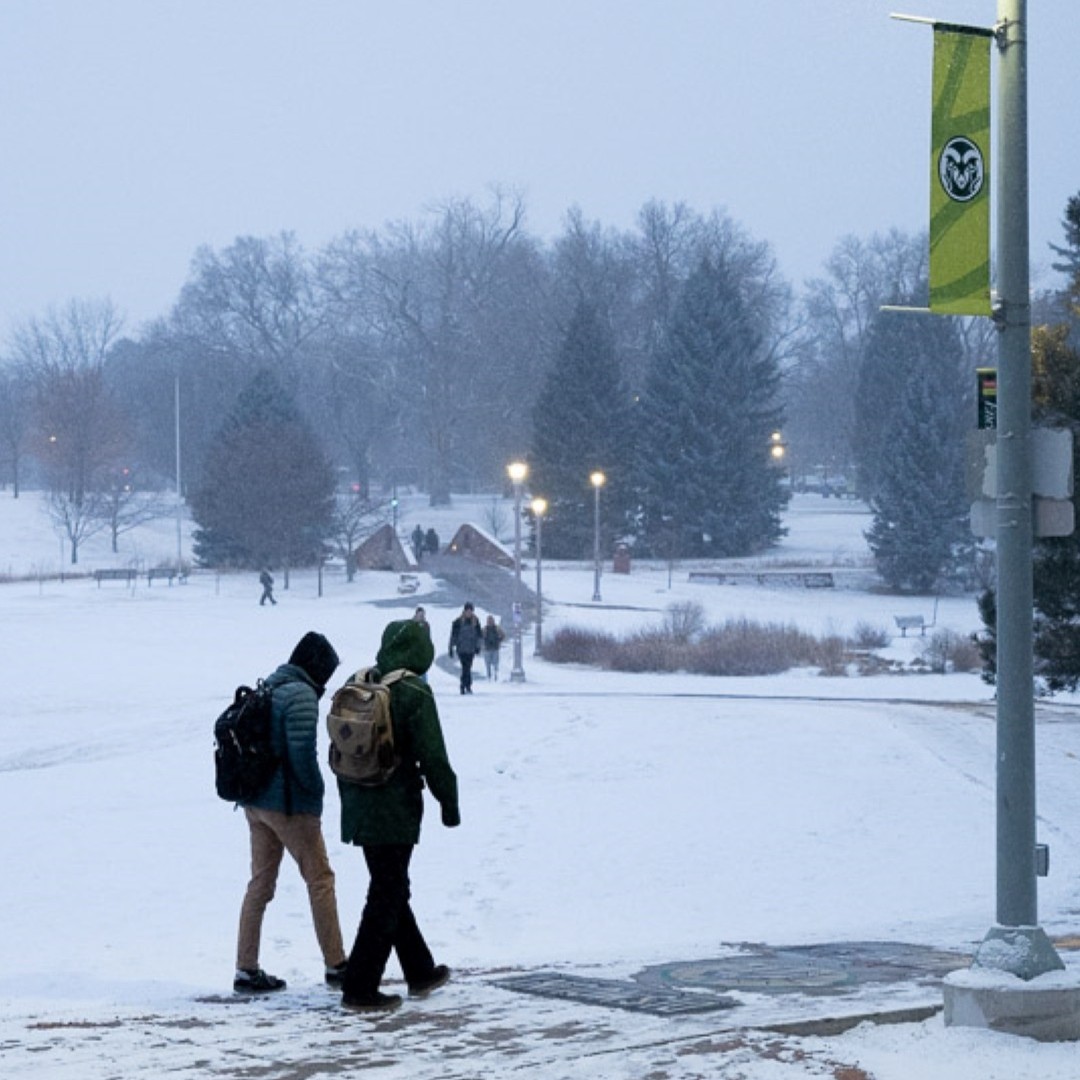 Colorado State University Online | Fort Collins CO