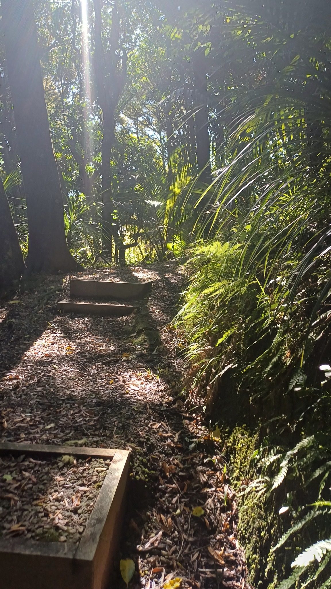 Nga Hua o Mōrere - Morere Hotsprings | Morere