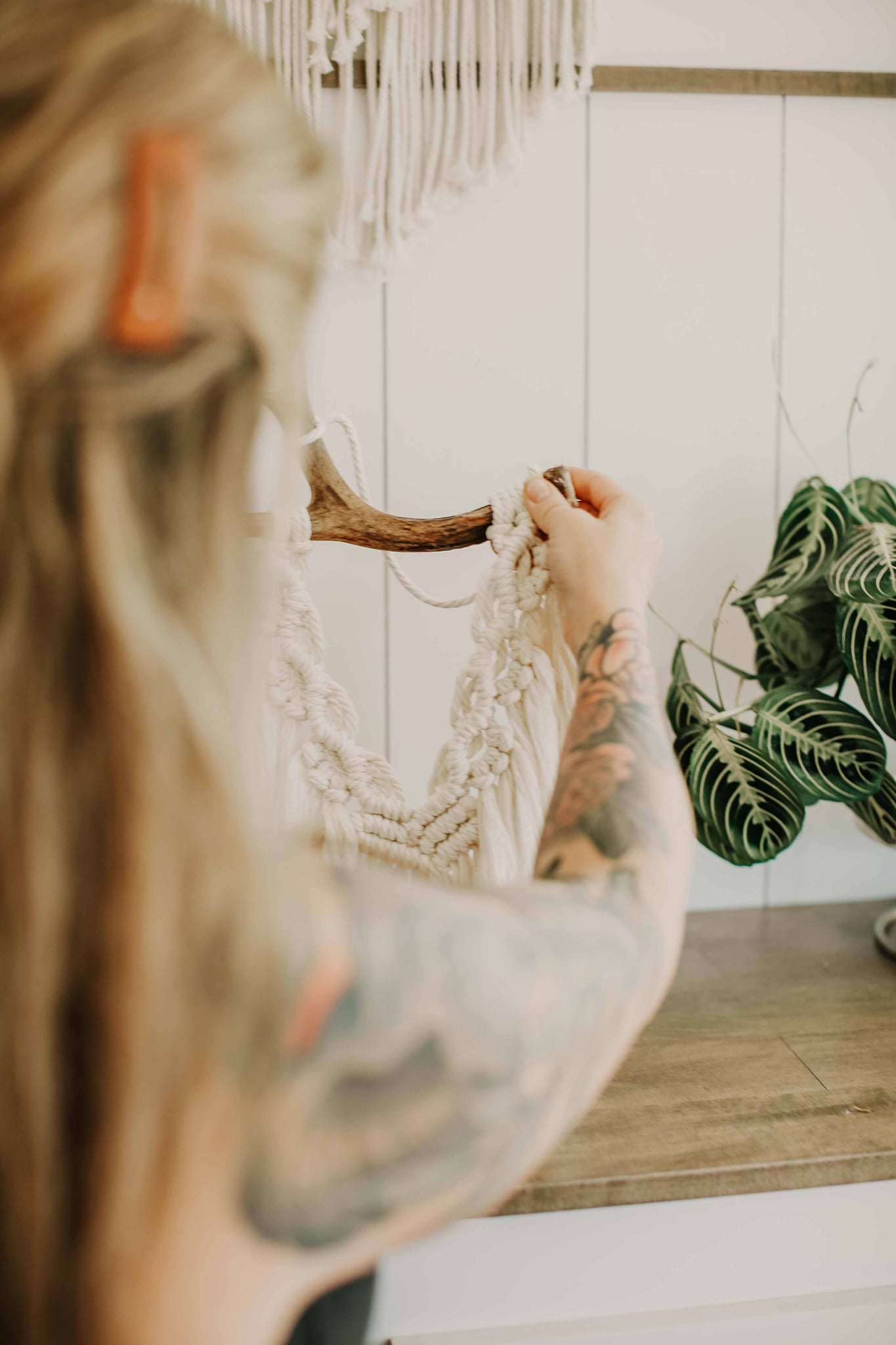 Hawk + Sparrow - || Hand Made Fiber Art Macrame