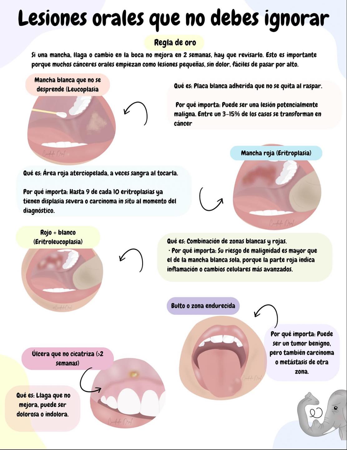 Portal Odontólogos - Anatomía de la mano ED. Extensor común de los ...