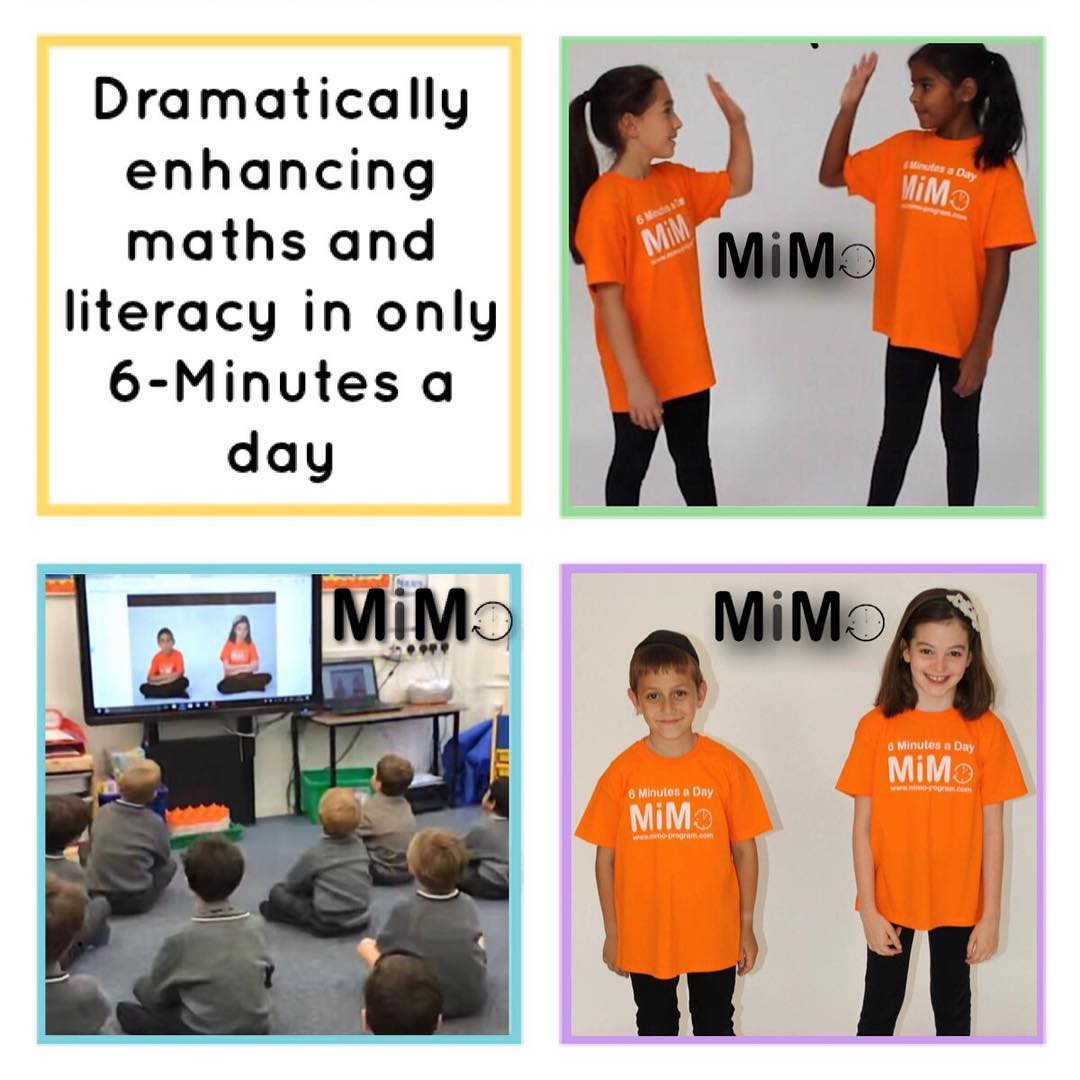 The Mimo Program
