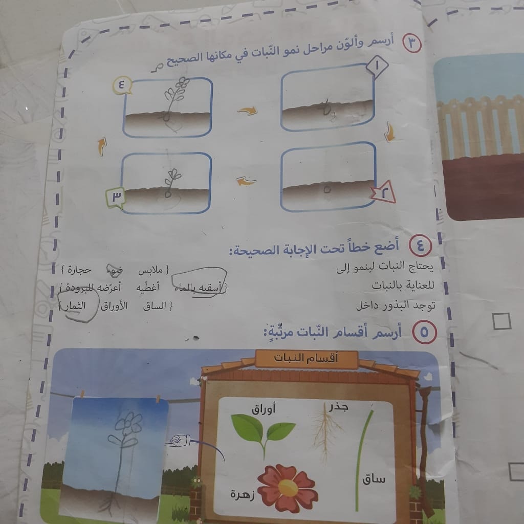 حل ورقة عمل للوحدة الخامسة الفاقد التعليمي الصف الأول Facebook