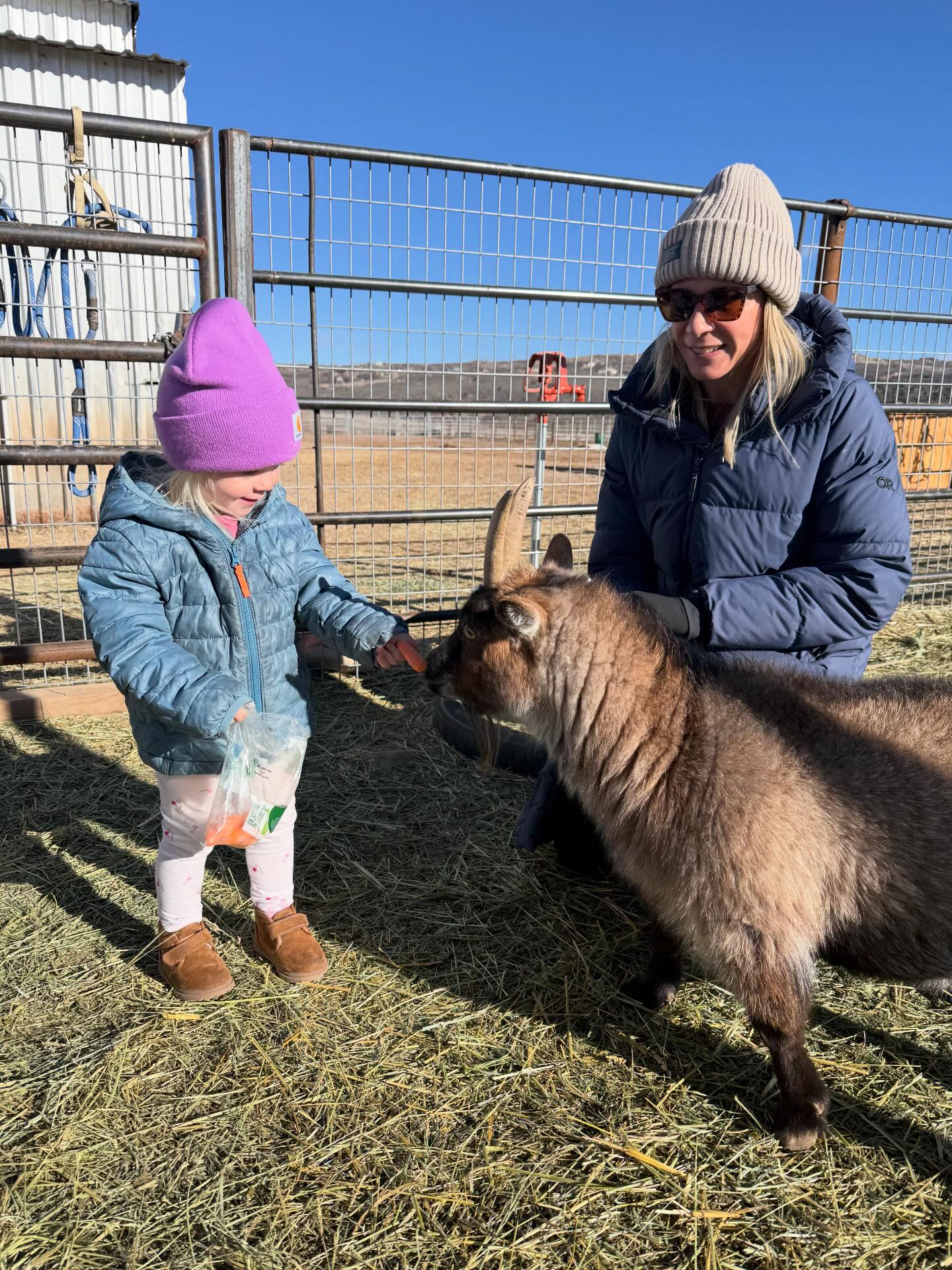 Little Lottie’s first visit—and wow... - Smiling Goat Ranch | Facebook