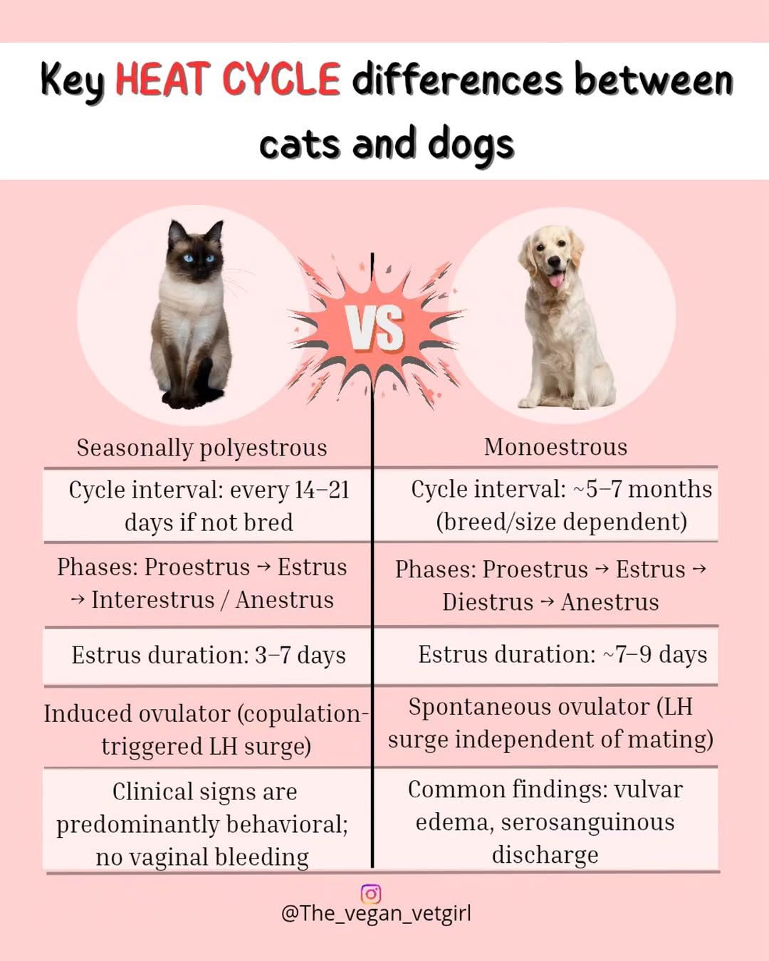 Field - Key Heat cycle differences between cats and dogs Slide shared ...