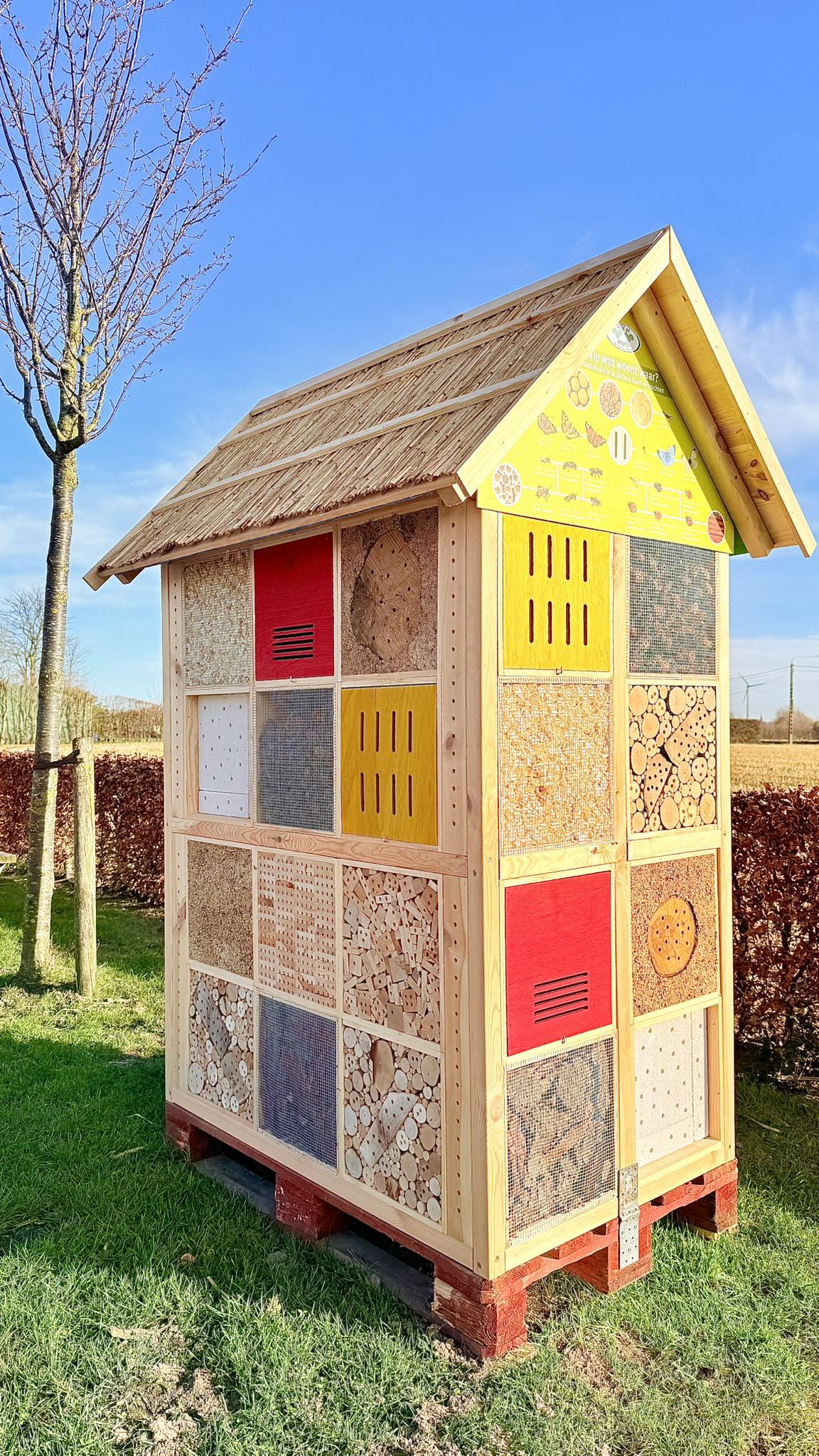 Hoeve Mahieu - Ons nieuwe insectenhuis 🐝🐞🦋 al gezien langs... | Facebook