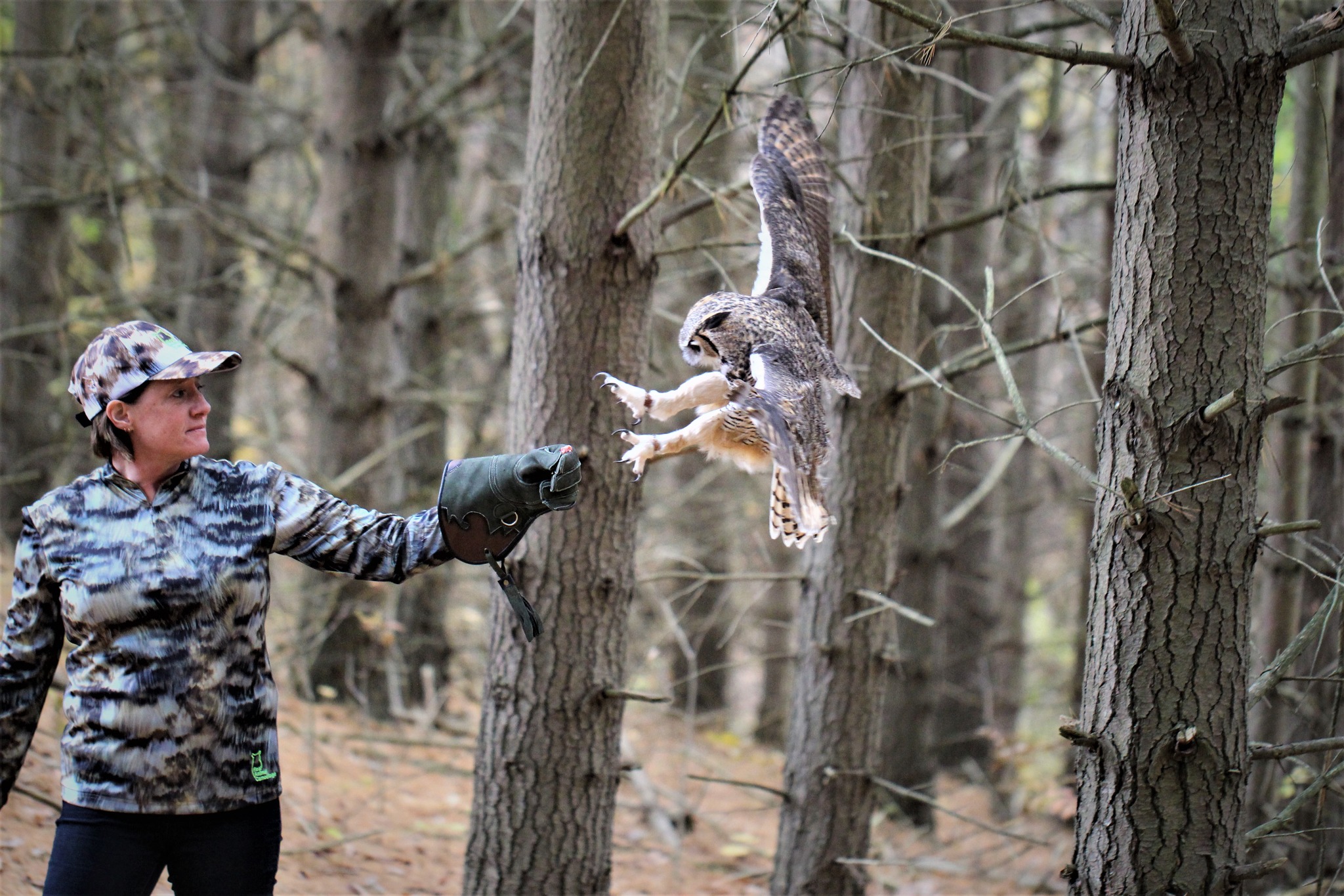 Canadian Raptor Conservancy | Simcoe ON
