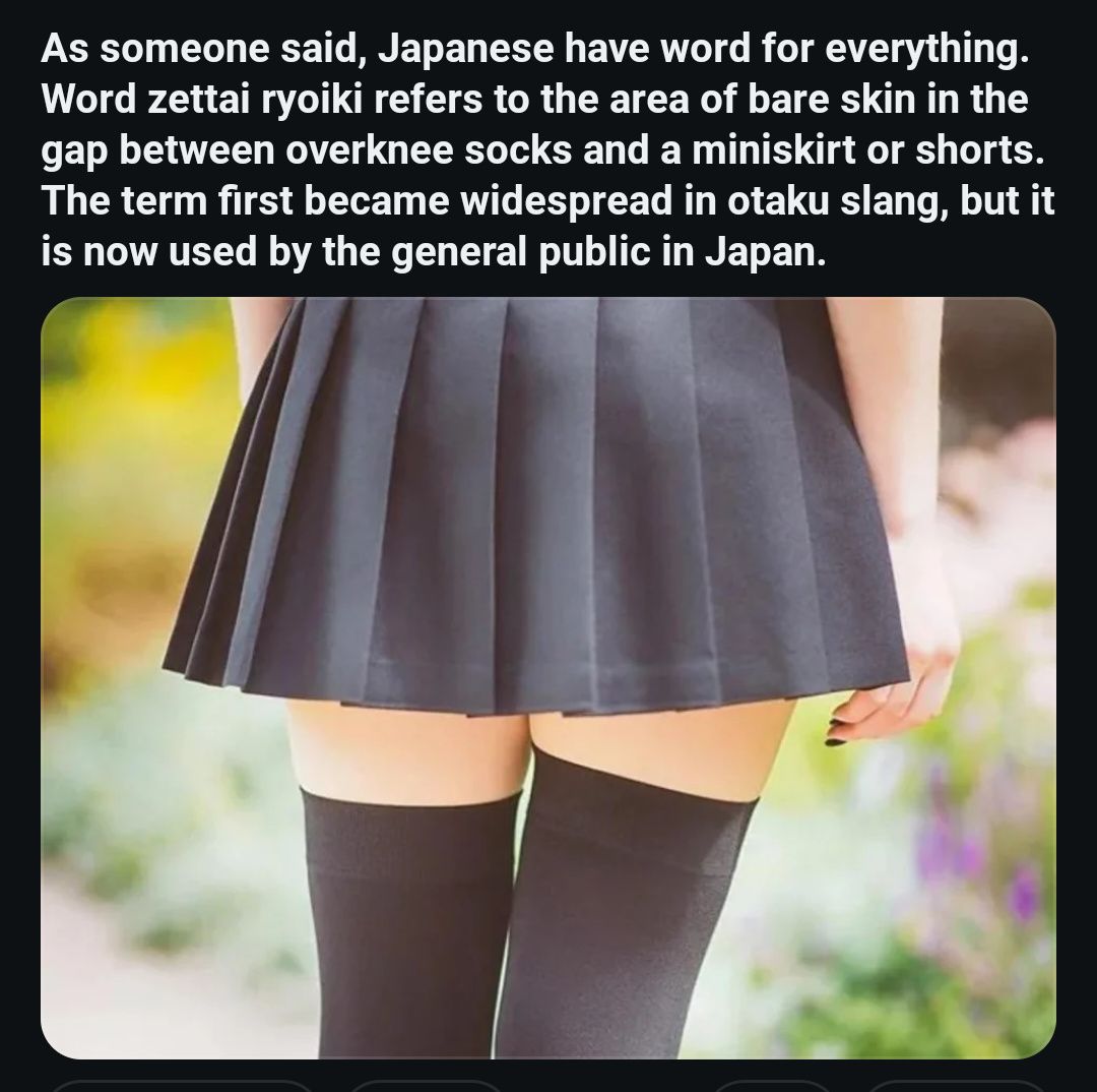 絶対 領域 と は