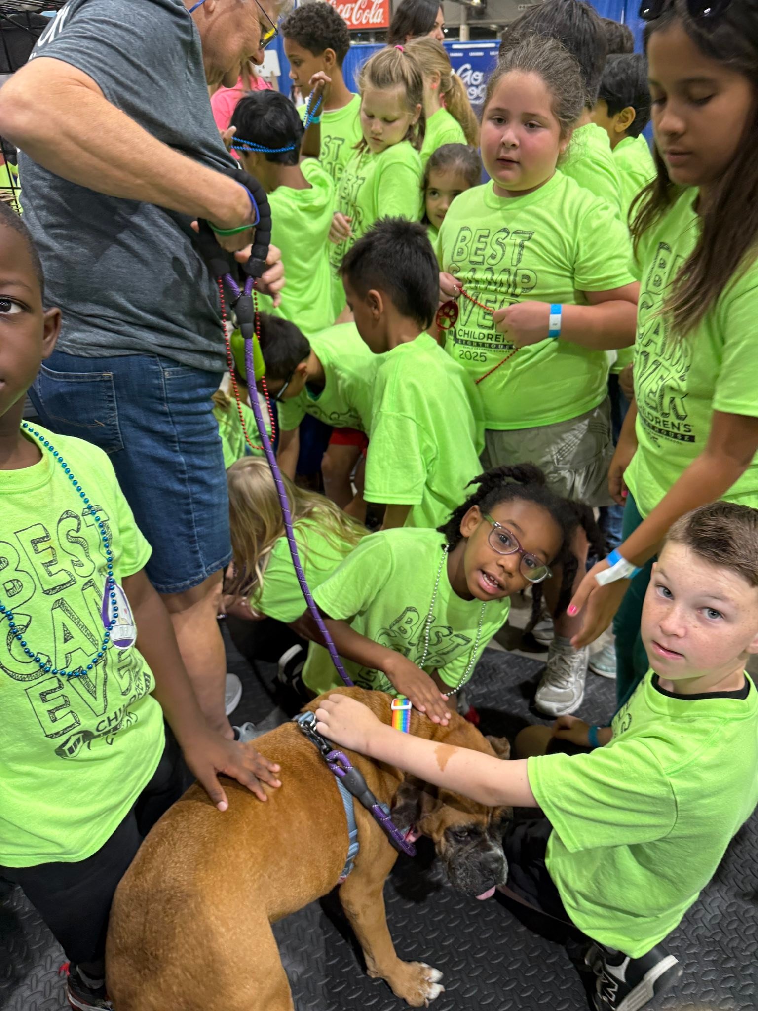 Houston Boxer Rescue | Houston TX