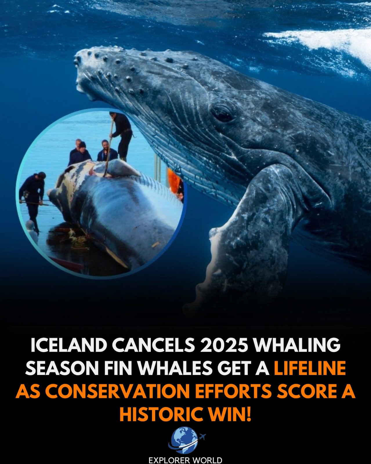 Explorer World - 🌊 A Historic Victory for the Giants of... | Facebook