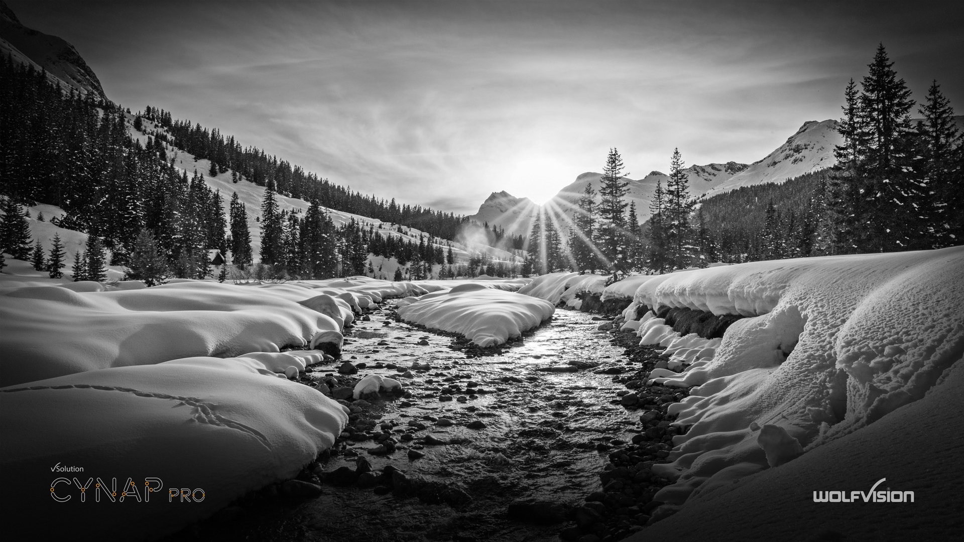 WolfVision - 🌍 Ever wondered where the stunning background on your ...