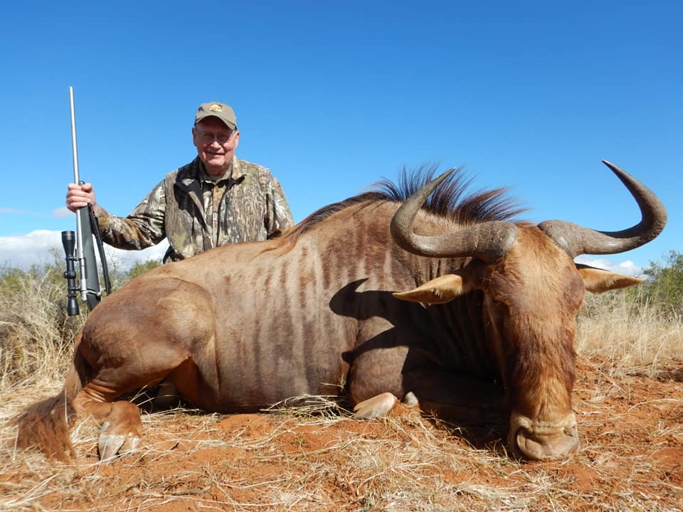MEGA SPRINGBUCK - GOUE WILDEBEEST JAGPAKKETTE!! 17... | Facebook