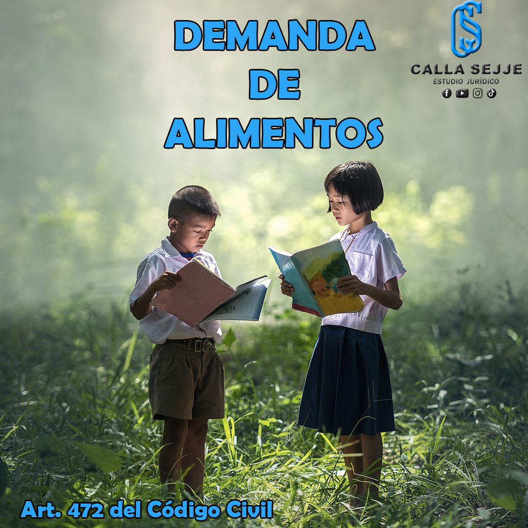 EL PROCESO DE ALIMENTOS... - Calla Sejje - Abogados Juliaca