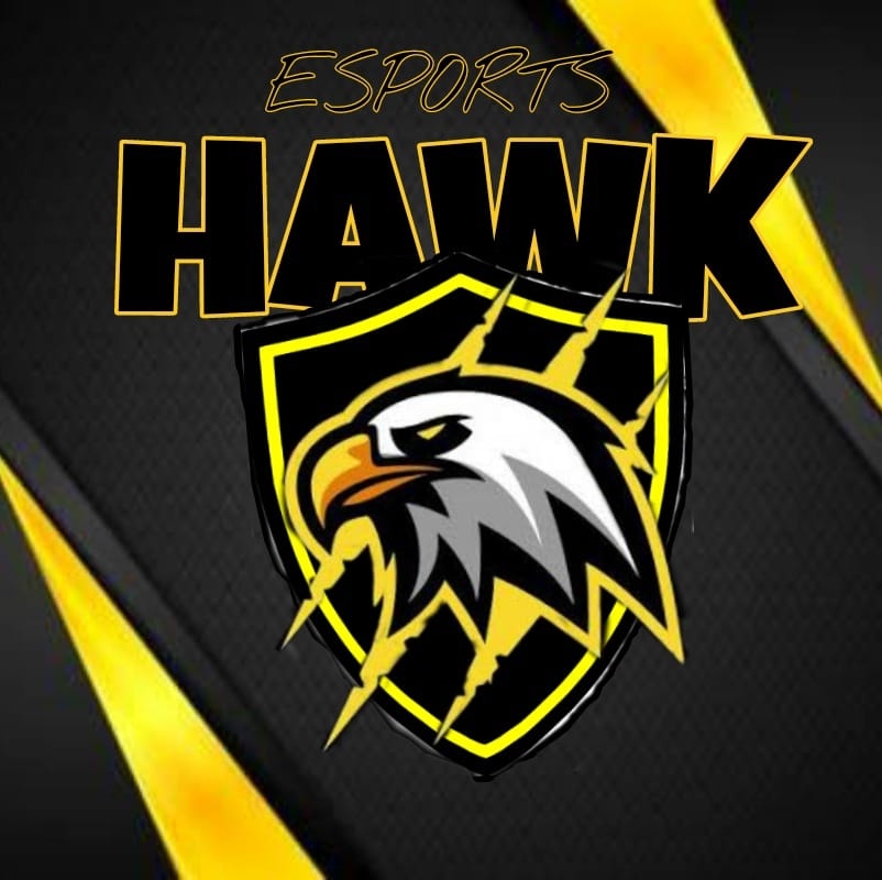 HAWK•Esports