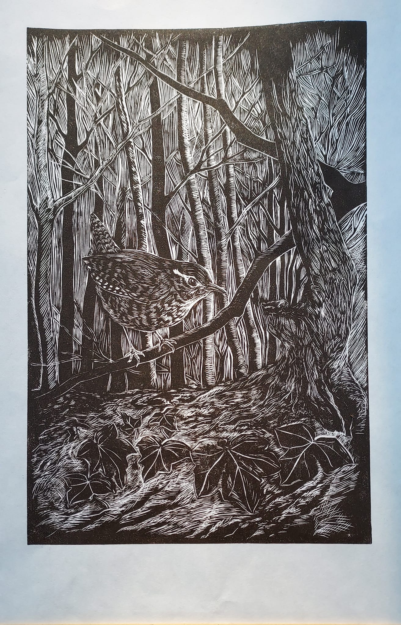 Joe - Ink Art | Exeter