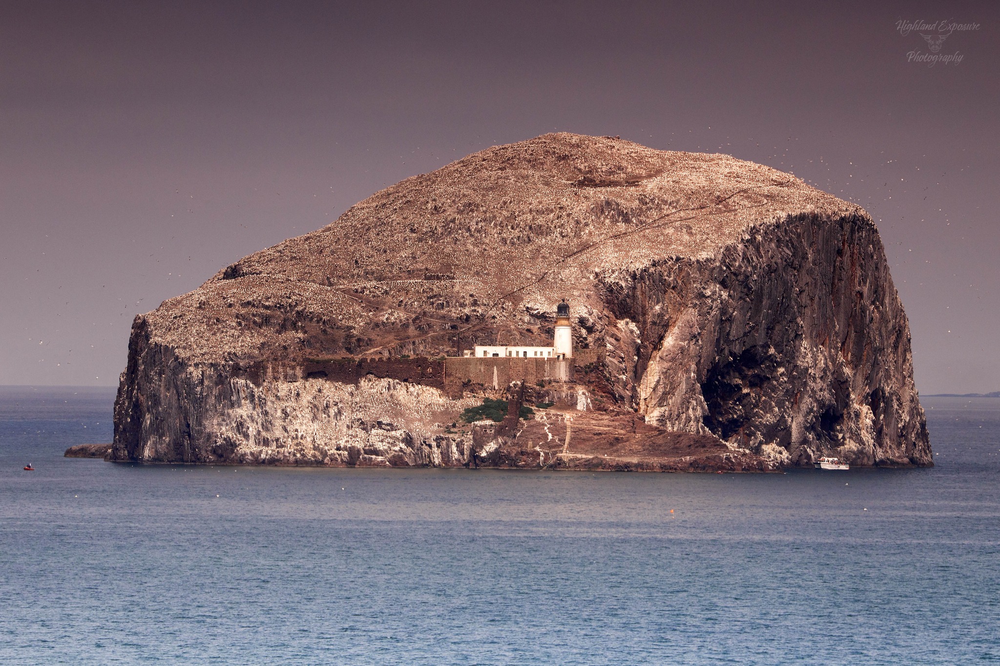 Bass Rock island in Scotland is home to northern gannets
