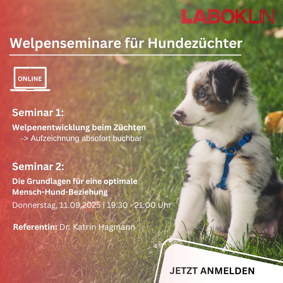 new genetic test:... - Labogen - Die Genetik von Laboklin | Facebook