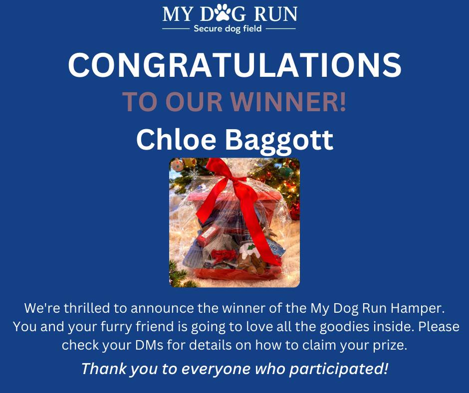 My Dog Run