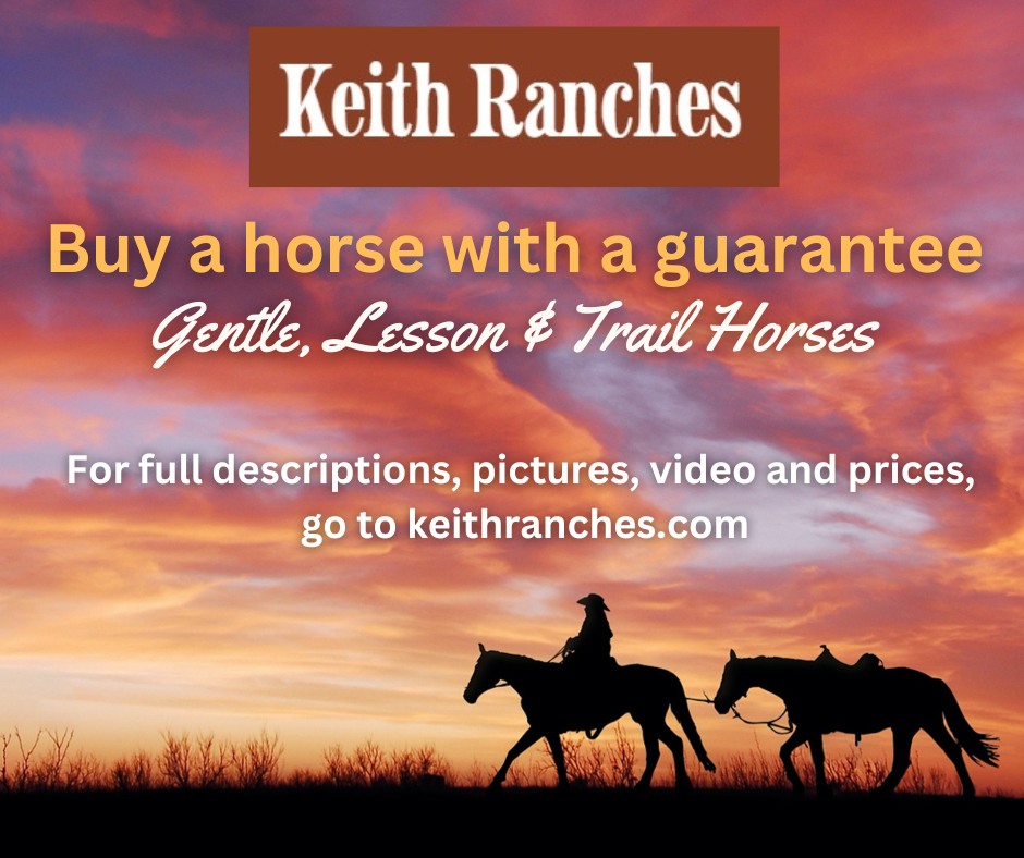 Keith Ranches Horses For Sale | Devine TX