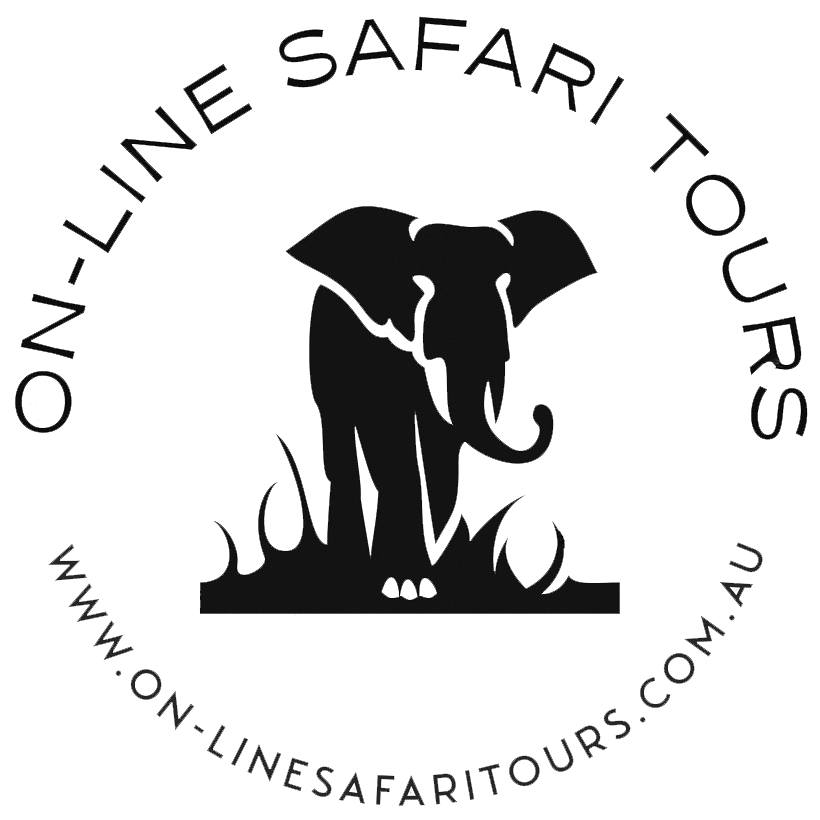Experience the wonder of Africa—from the captivating sights and sounds ...