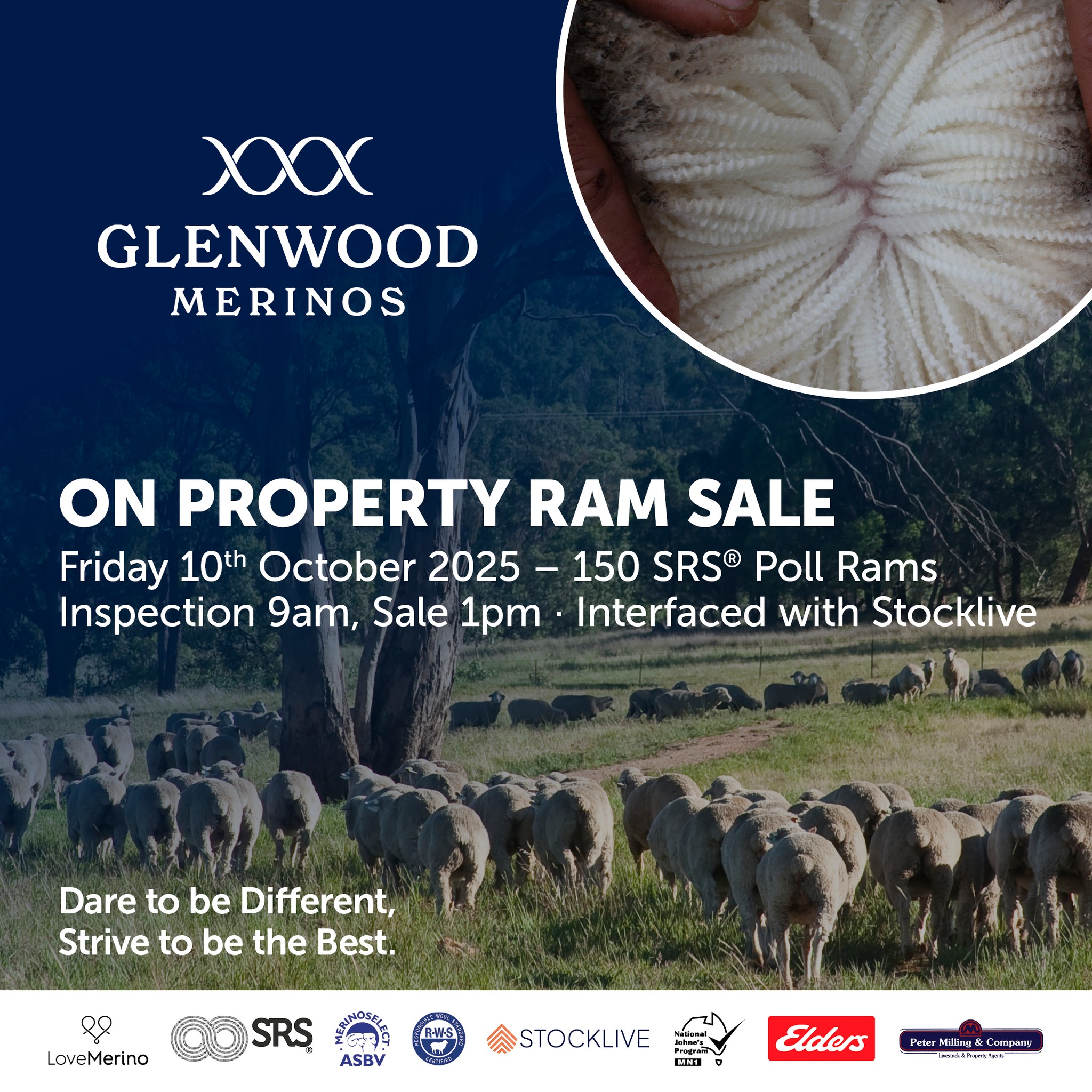 On Property Ram Sale - Friday 10th... - Glenwood Merinos | Facebook