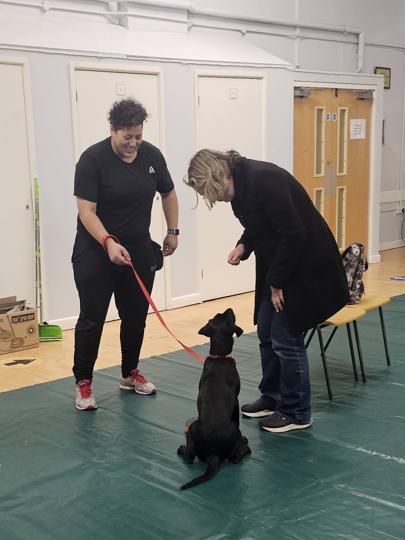 The Academy of Modern Canine Behaviour & Training | Portsmouth