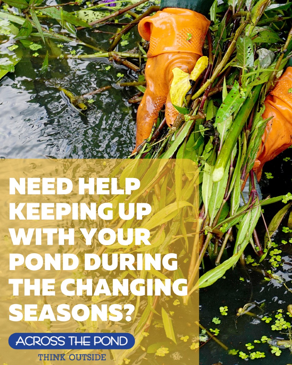 🌿 Keep your pond in top... - Across the Pond With Trevor | Facebook