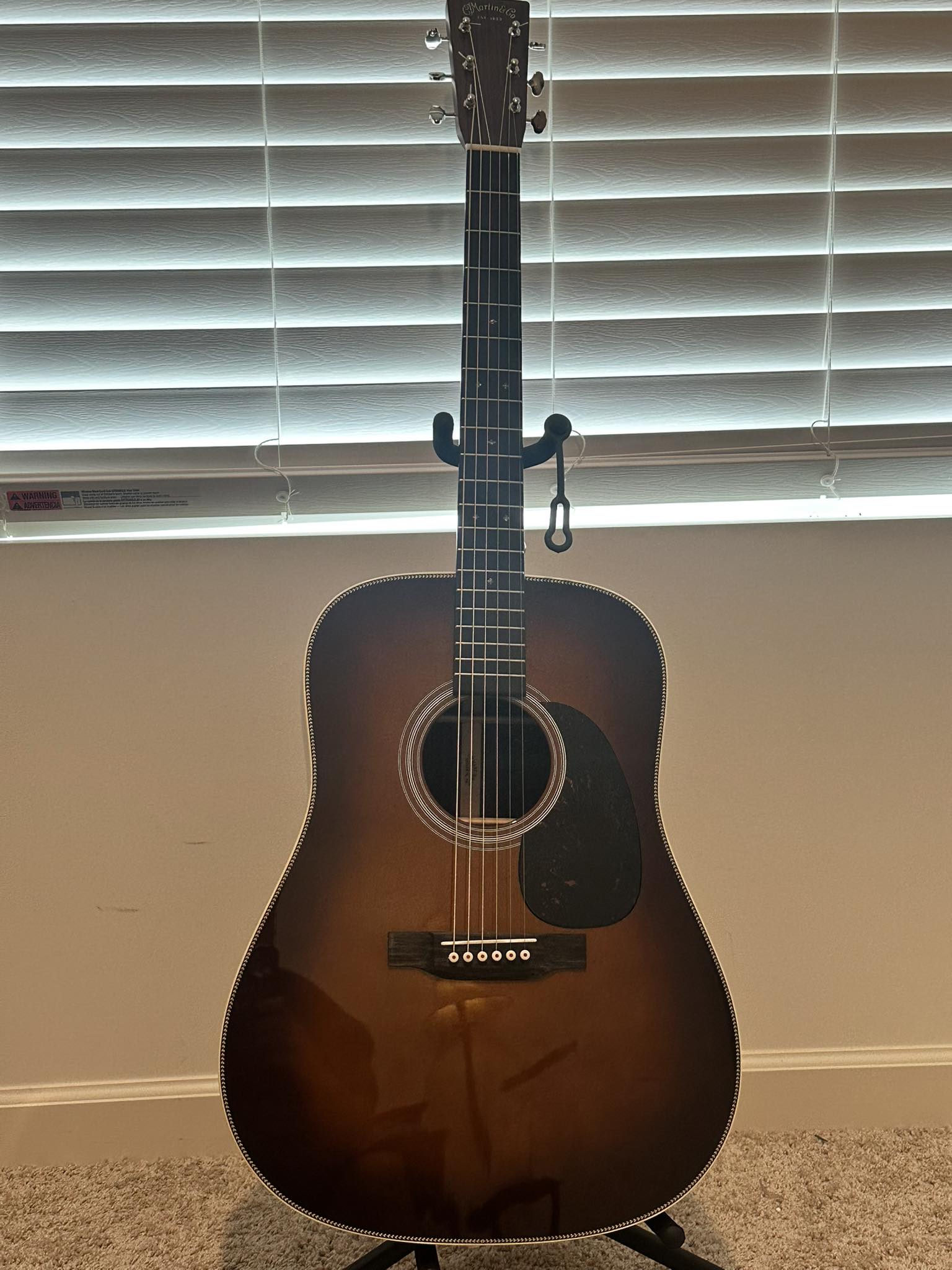 Martin D-28 1973年製L.R.baggs anthem
