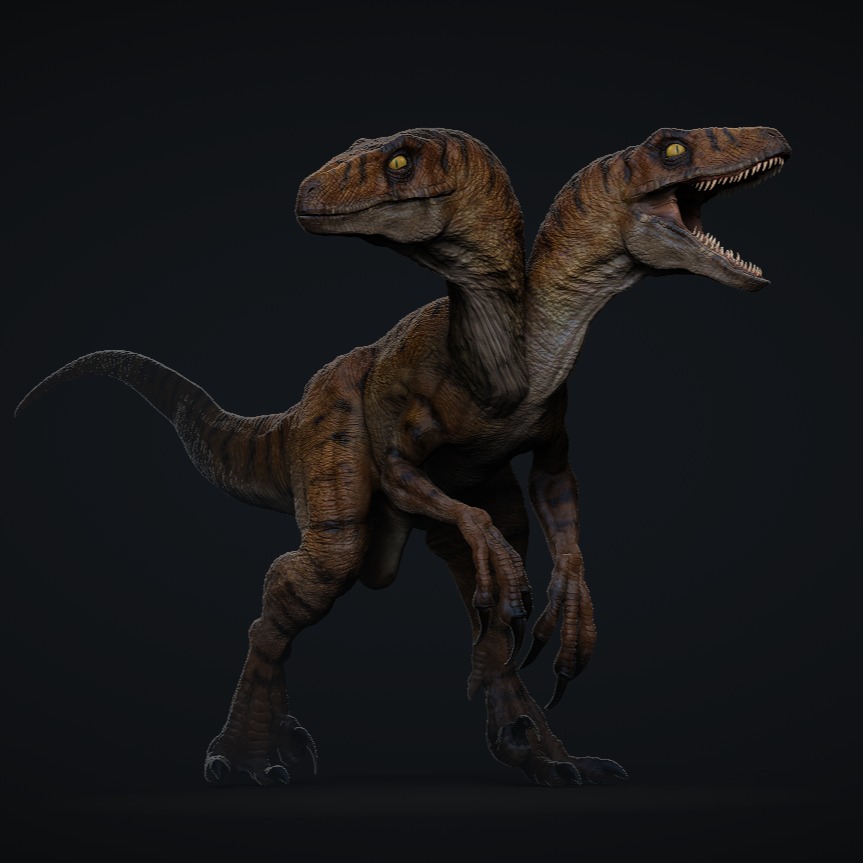 W REX - two-headed raptor #twoheadedraptor #raptor... | Facebook