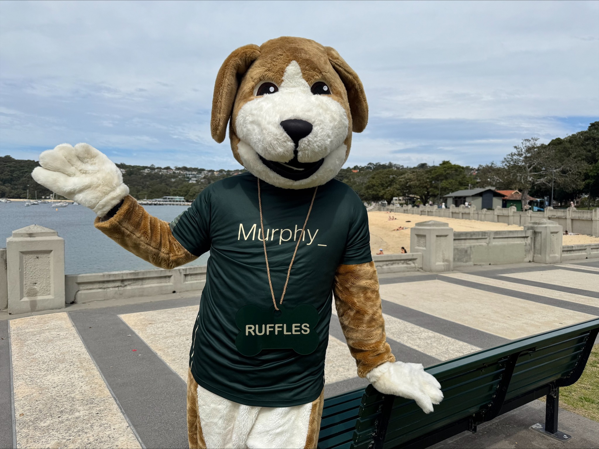Mosman - 🐾 Meet Ruffles - a super special Festival of Mosman visitor ...