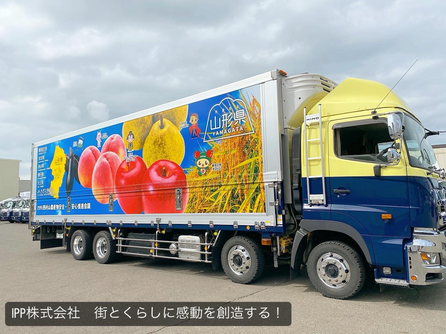 Ipp株式会社
