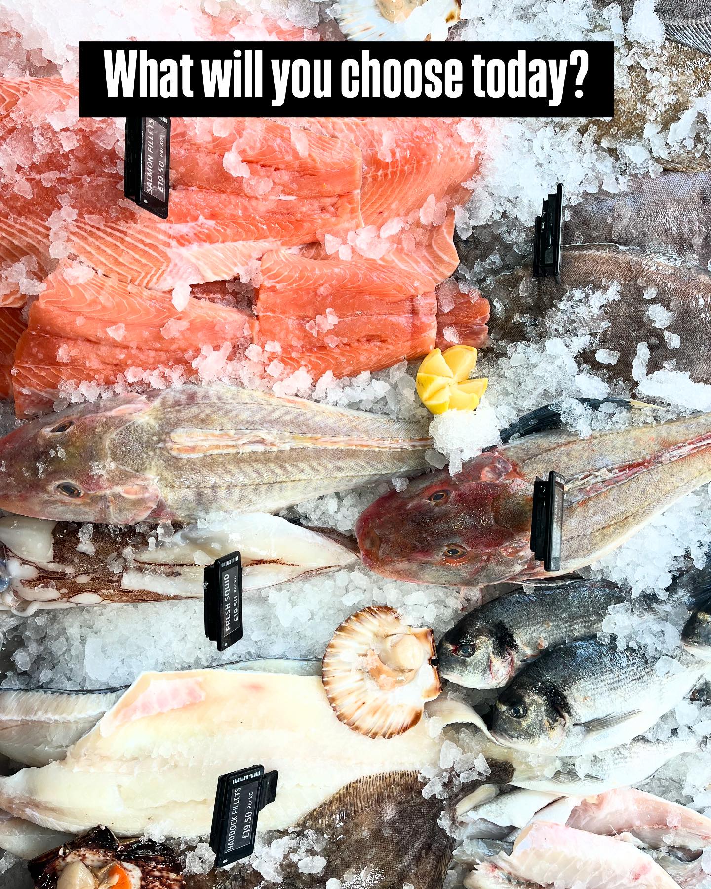 Jenkins & Son Fishmongers | Deal