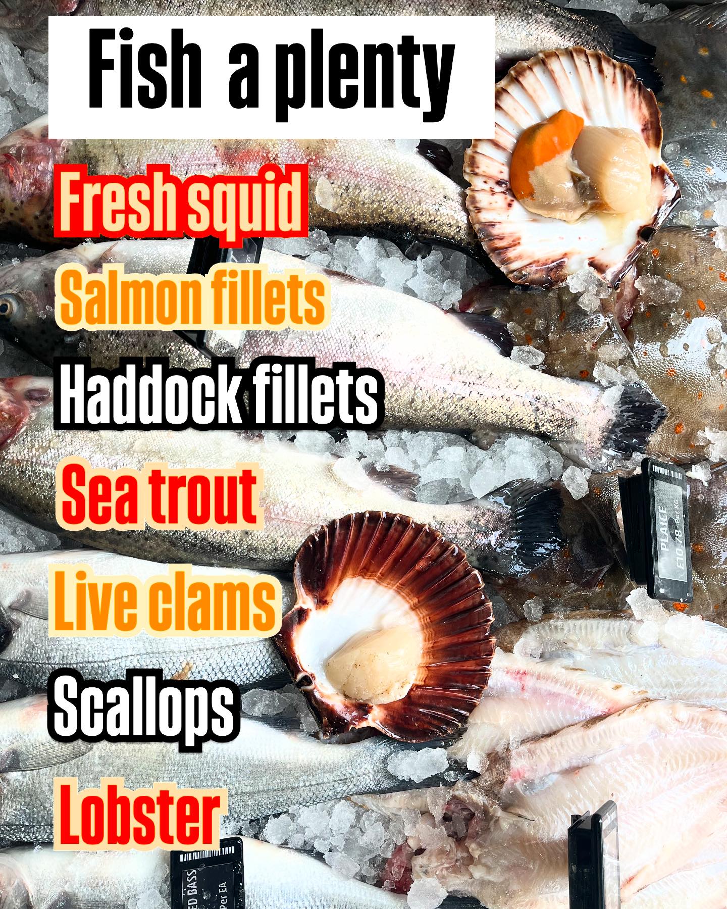 Jenkins & Son Fishmongers | Deal